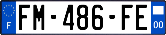 FM-486-FE