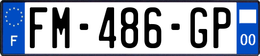 FM-486-GP