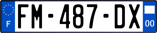 FM-487-DX