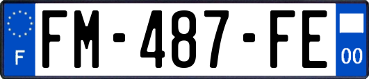 FM-487-FE