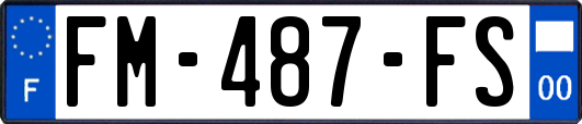 FM-487-FS
