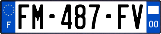 FM-487-FV