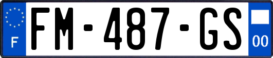 FM-487-GS