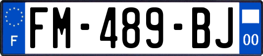 FM-489-BJ