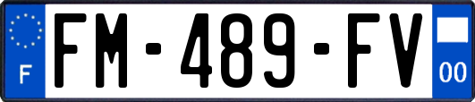 FM-489-FV