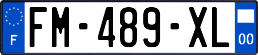 FM-489-XL