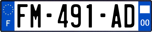 FM-491-AD