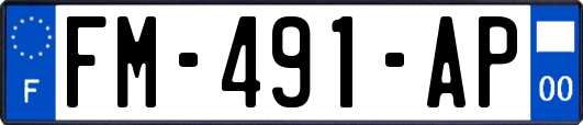 FM-491-AP