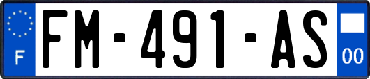 FM-491-AS