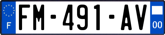 FM-491-AV