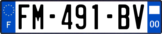 FM-491-BV