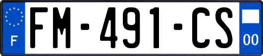FM-491-CS