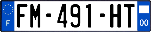 FM-491-HT