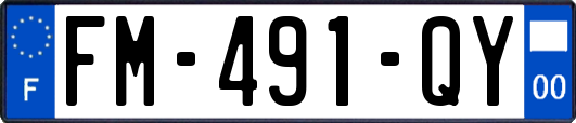 FM-491-QY