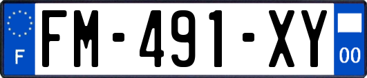 FM-491-XY