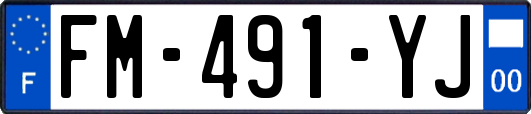 FM-491-YJ