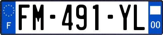 FM-491-YL