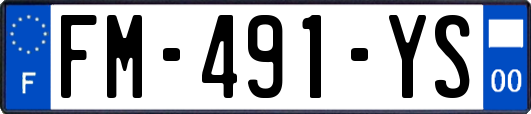 FM-491-YS