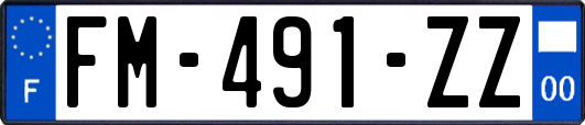 FM-491-ZZ