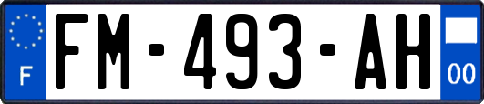FM-493-AH