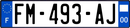 FM-493-AJ