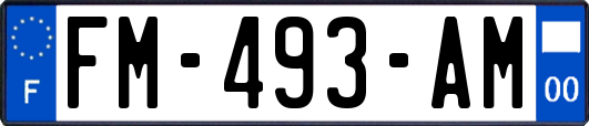 FM-493-AM