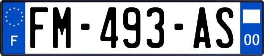 FM-493-AS