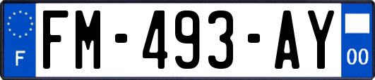 FM-493-AY