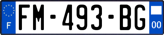 FM-493-BG