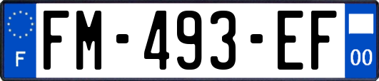 FM-493-EF