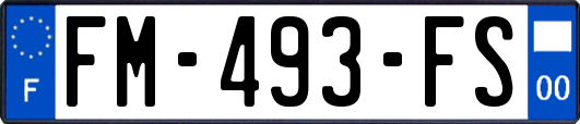 FM-493-FS