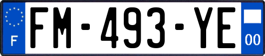 FM-493-YE