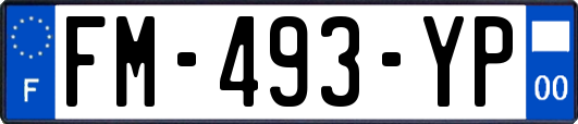 FM-493-YP