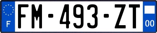 FM-493-ZT