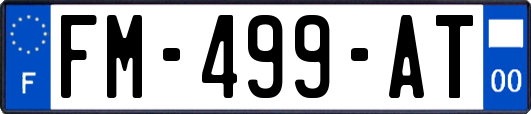 FM-499-AT