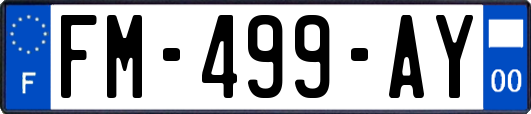FM-499-AY