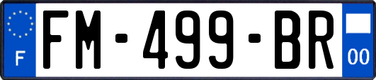 FM-499-BR