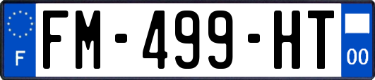 FM-499-HT