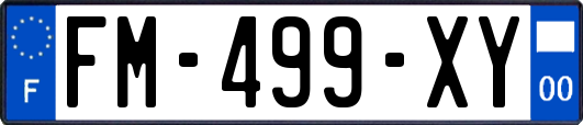 FM-499-XY