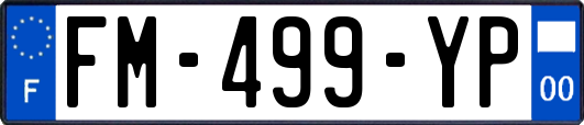 FM-499-YP
