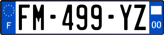 FM-499-YZ