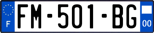 FM-501-BG