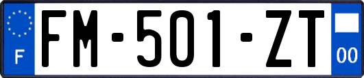 FM-501-ZT