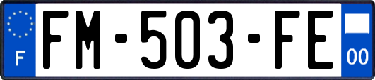 FM-503-FE