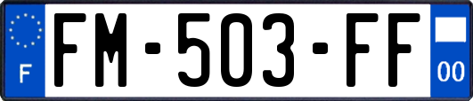 FM-503-FF