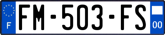 FM-503-FS