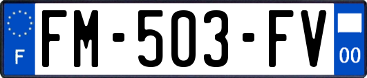 FM-503-FV