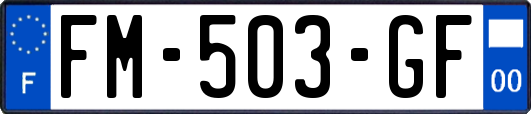 FM-503-GF