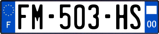 FM-503-HS