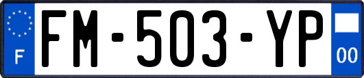 FM-503-YP